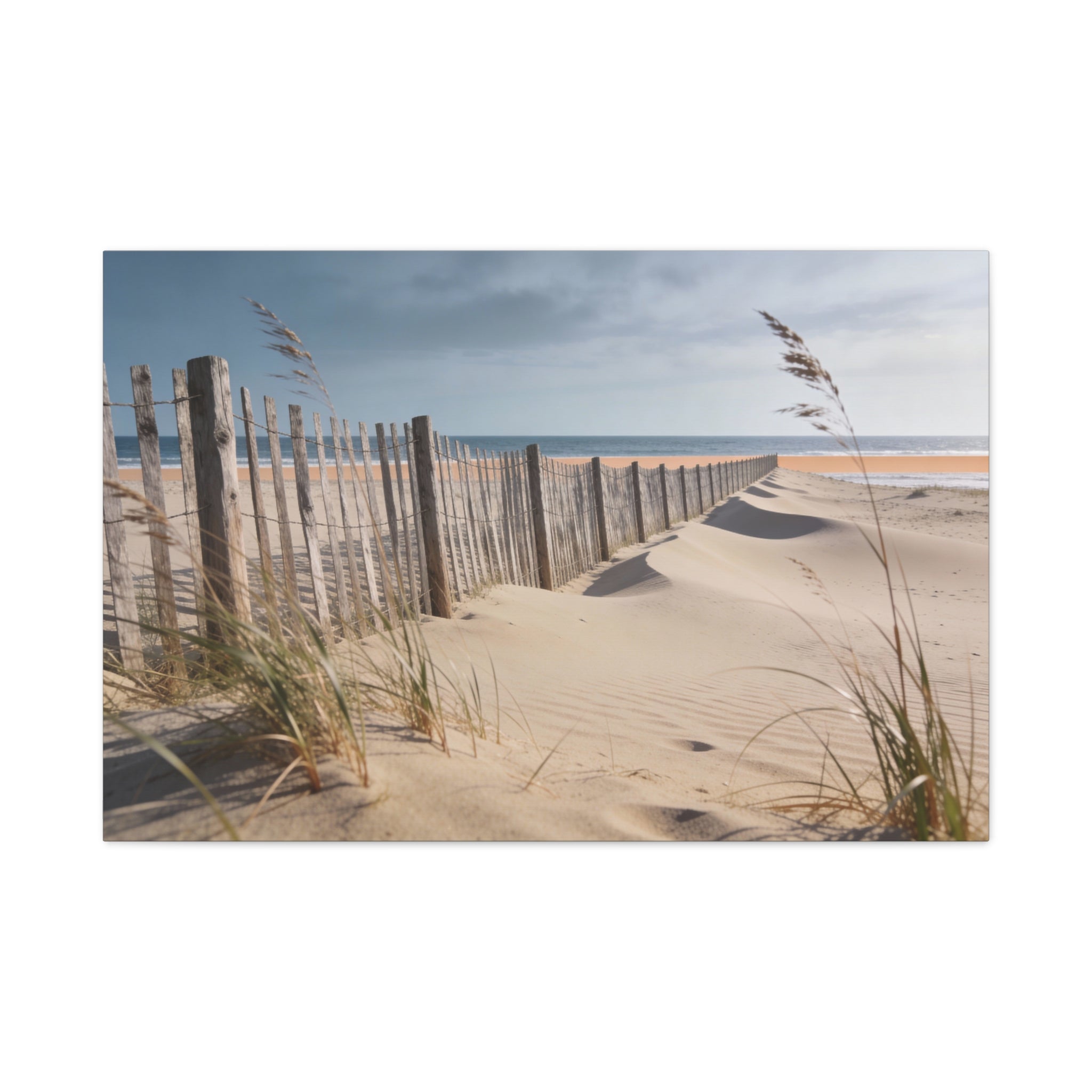 Coastal Horizons - Windswept Dunes - Weathered Fence