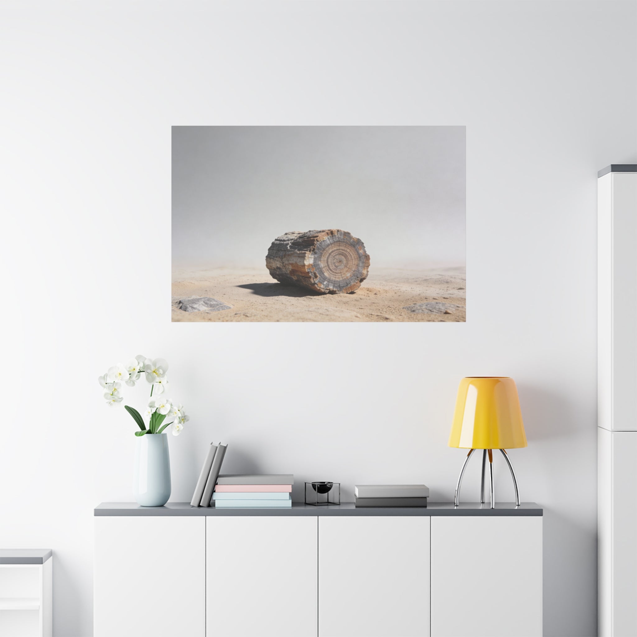 Petrified Forest National Park - Petrified Wood Closeup - Polished Rings