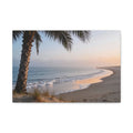 Coastal Horizons - Palm Beach Horizon - Single Palm Open Air