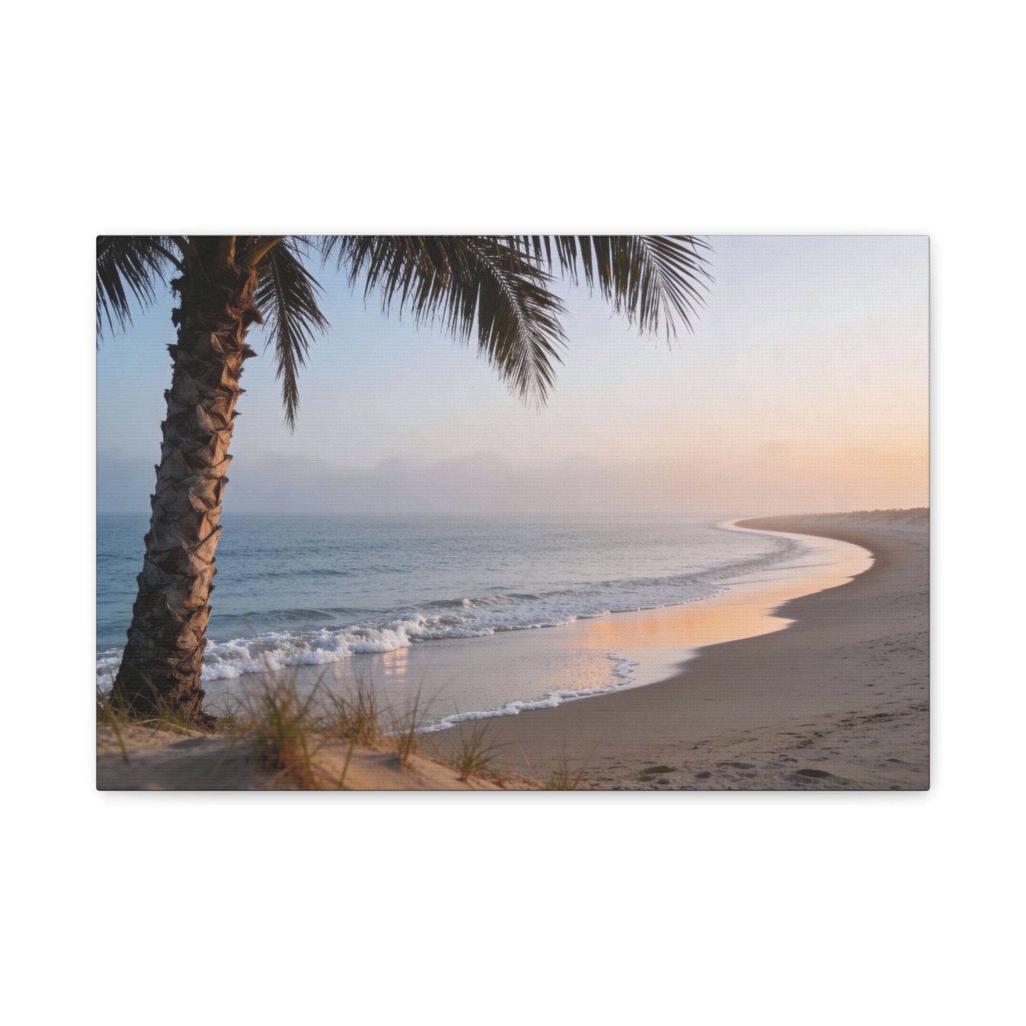 Coastal Horizons - Palm Beach Horizon - Single Palm Open Air