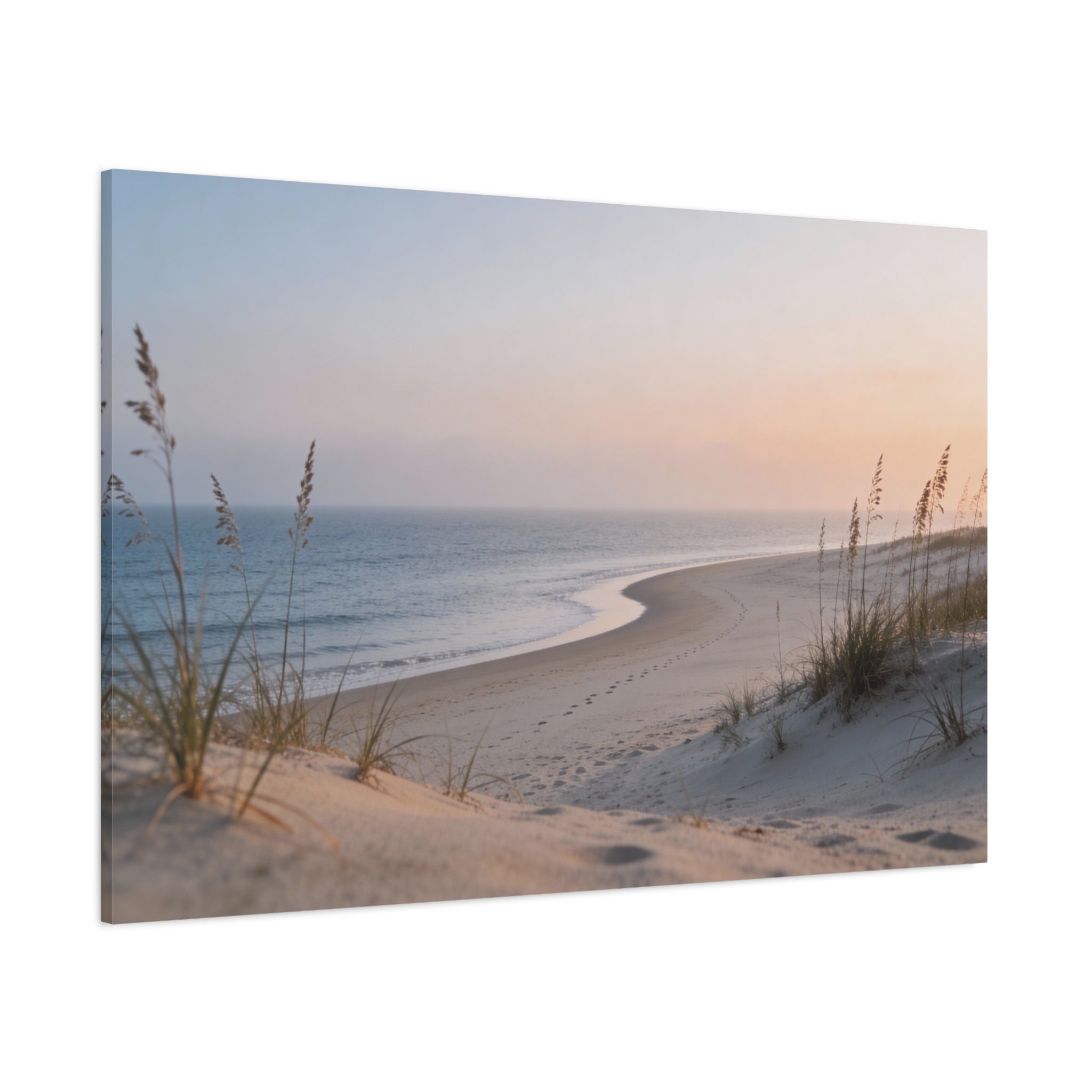 Coastal Horizons - Coastal Dunes - Sea Oats