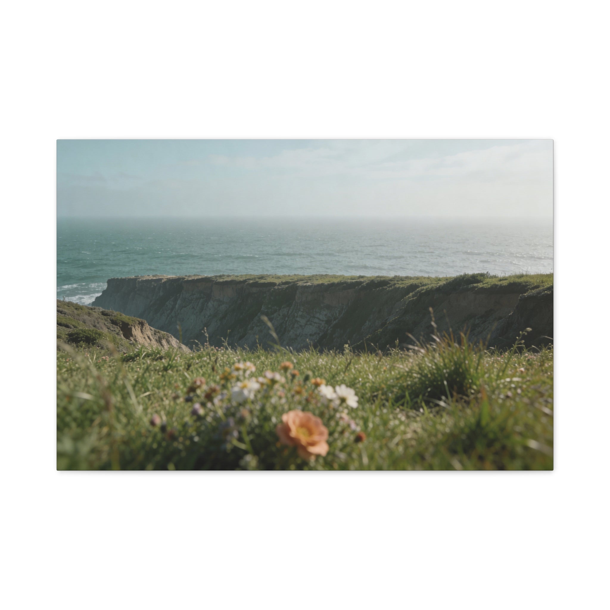 Coastal Horizons - Coastal Bluff - Wildflowers