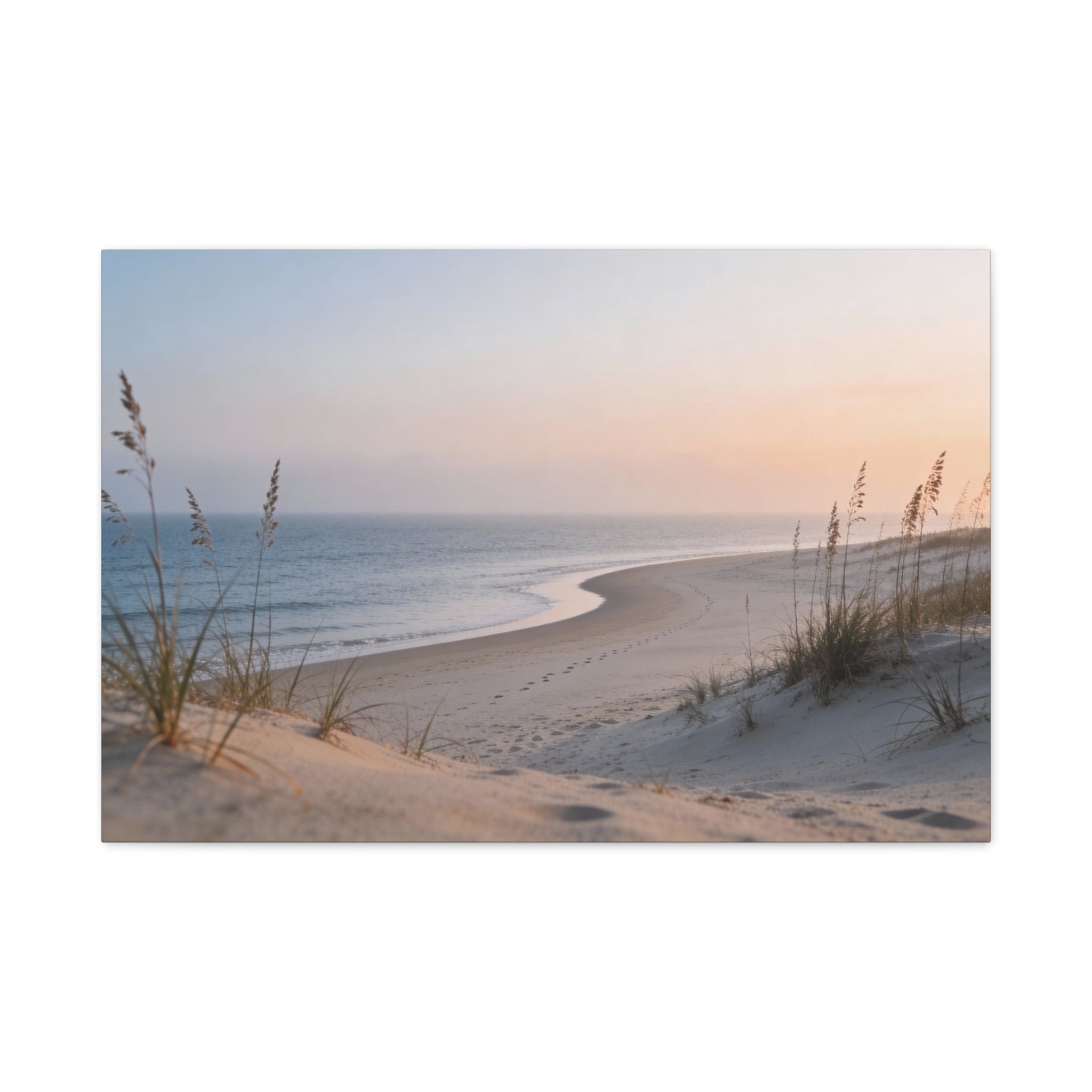 Coastal Horizons - Coastal Dunes - Sea Oats