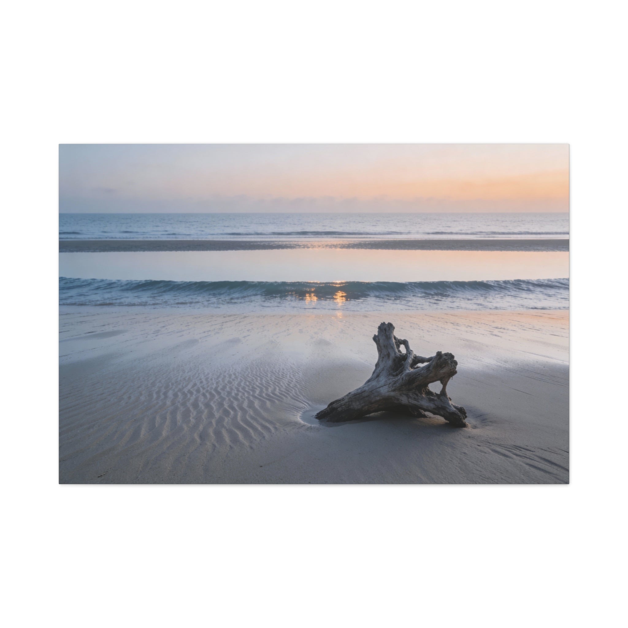 Coastal Horizons - Driftwood Shoreline - Minimal