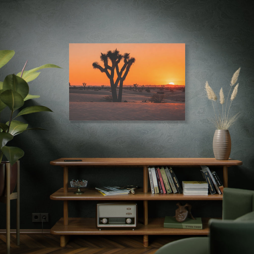 Joshua Tree National Park - Desert Dusk Silhouette