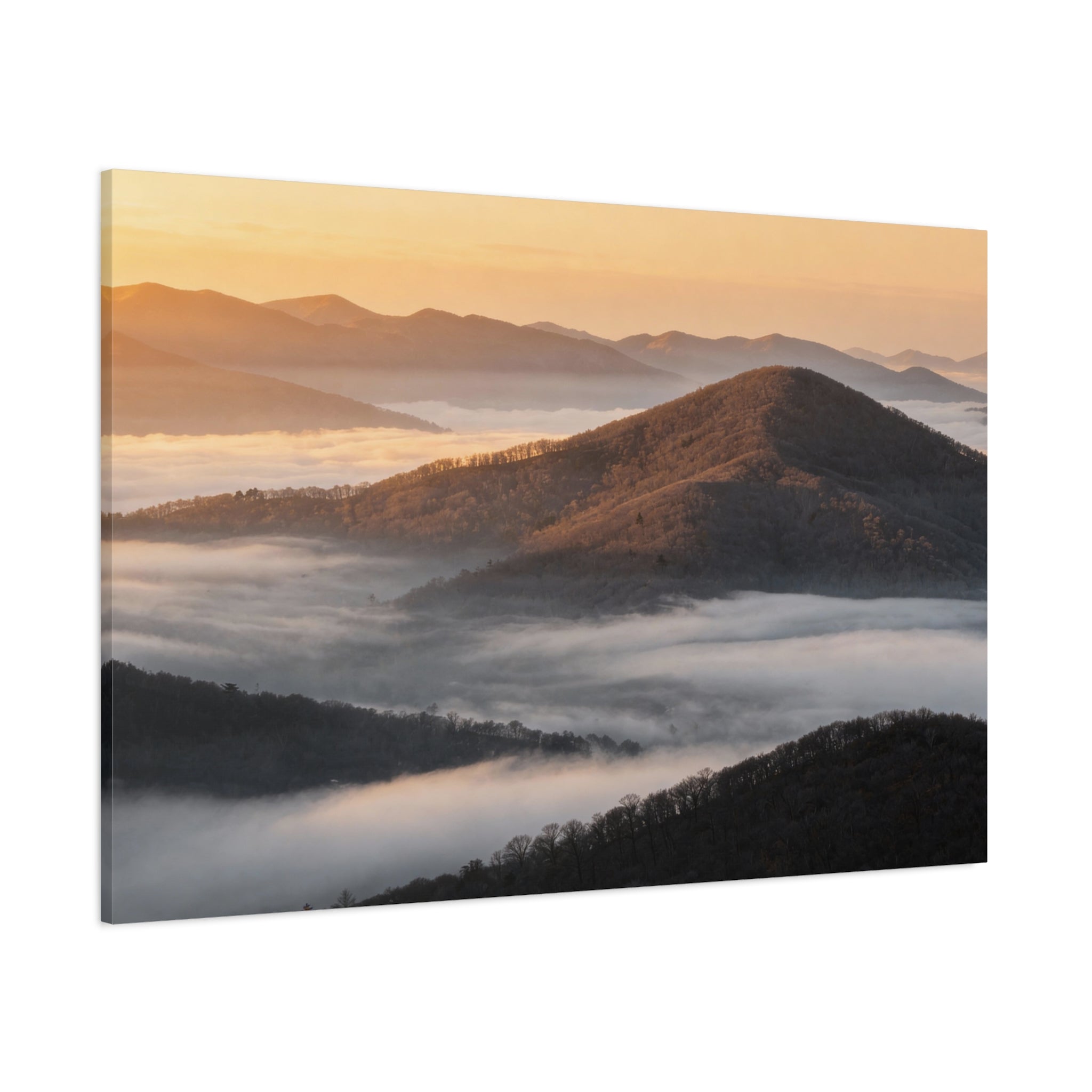 Great Smoky Mountains National Park - Fog Ridge Layers