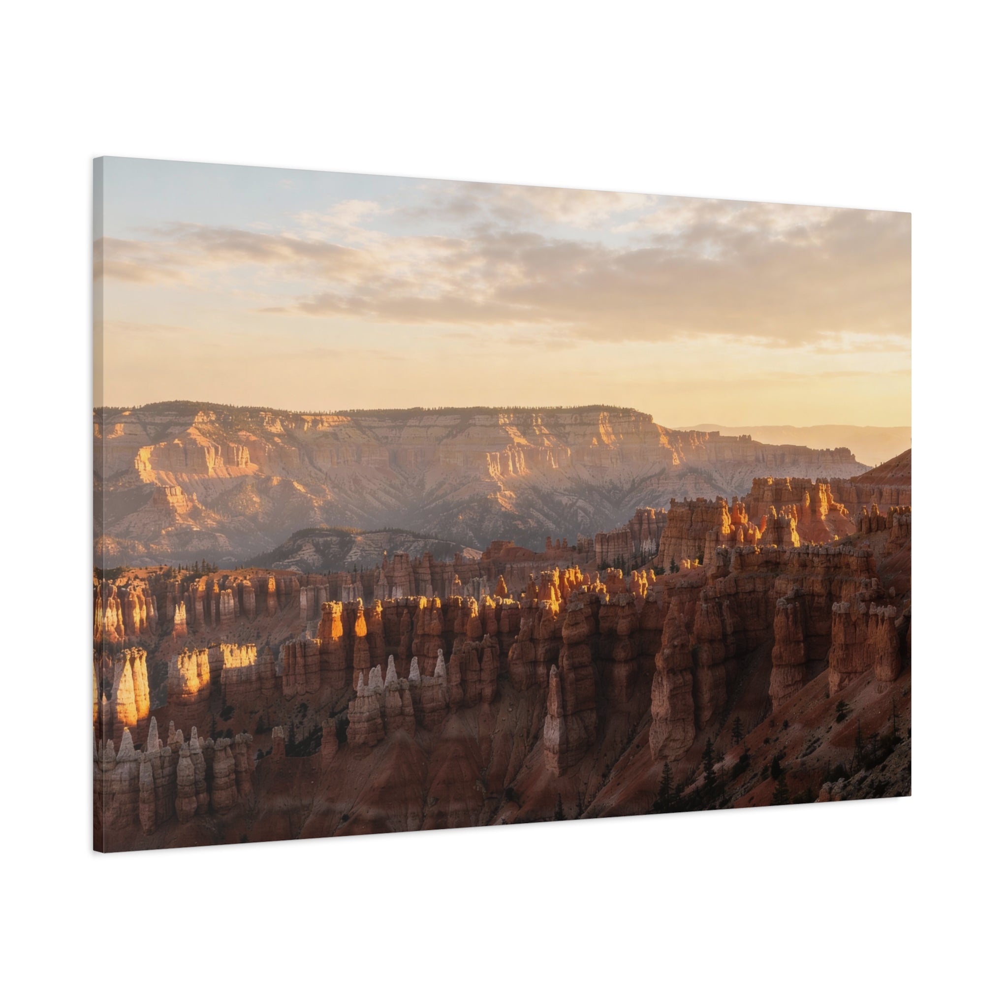 Bryce Canyon National Park - Hoodoo Amphitheater - Soft Sunrise