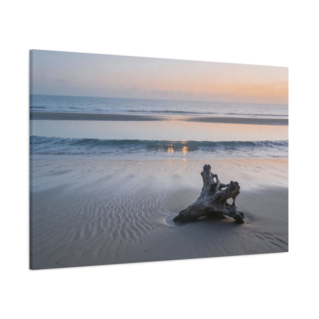 Coastal Horizons - Driftwood Shoreline - Minimal