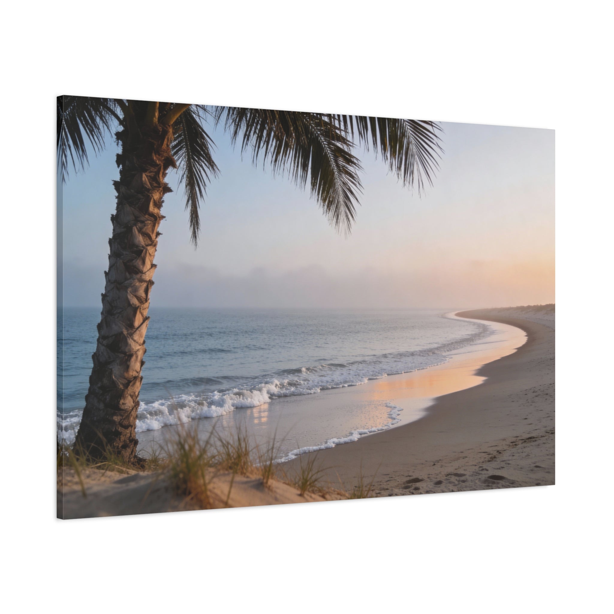 Coastal Horizons - Palm Beach Horizon - Single Palm Open Air