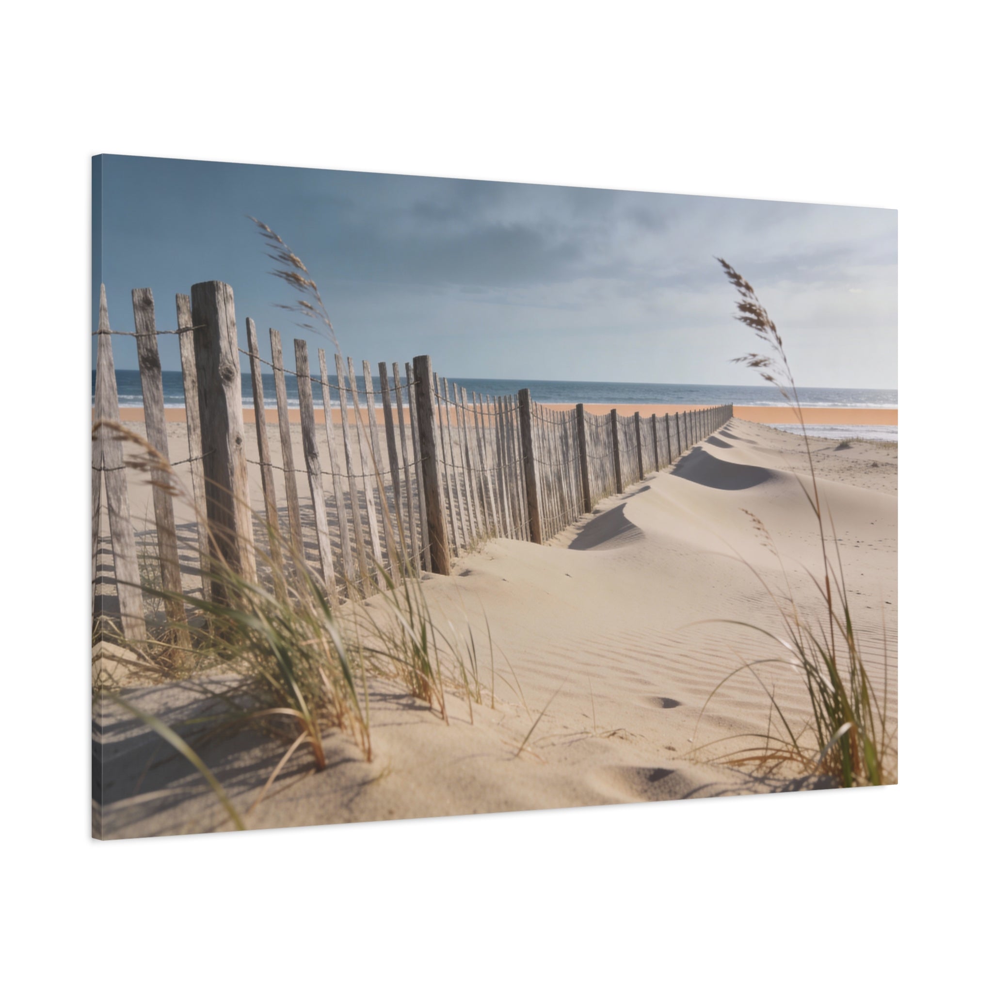 Coastal Horizons - Windswept Dunes - Weathered Fence