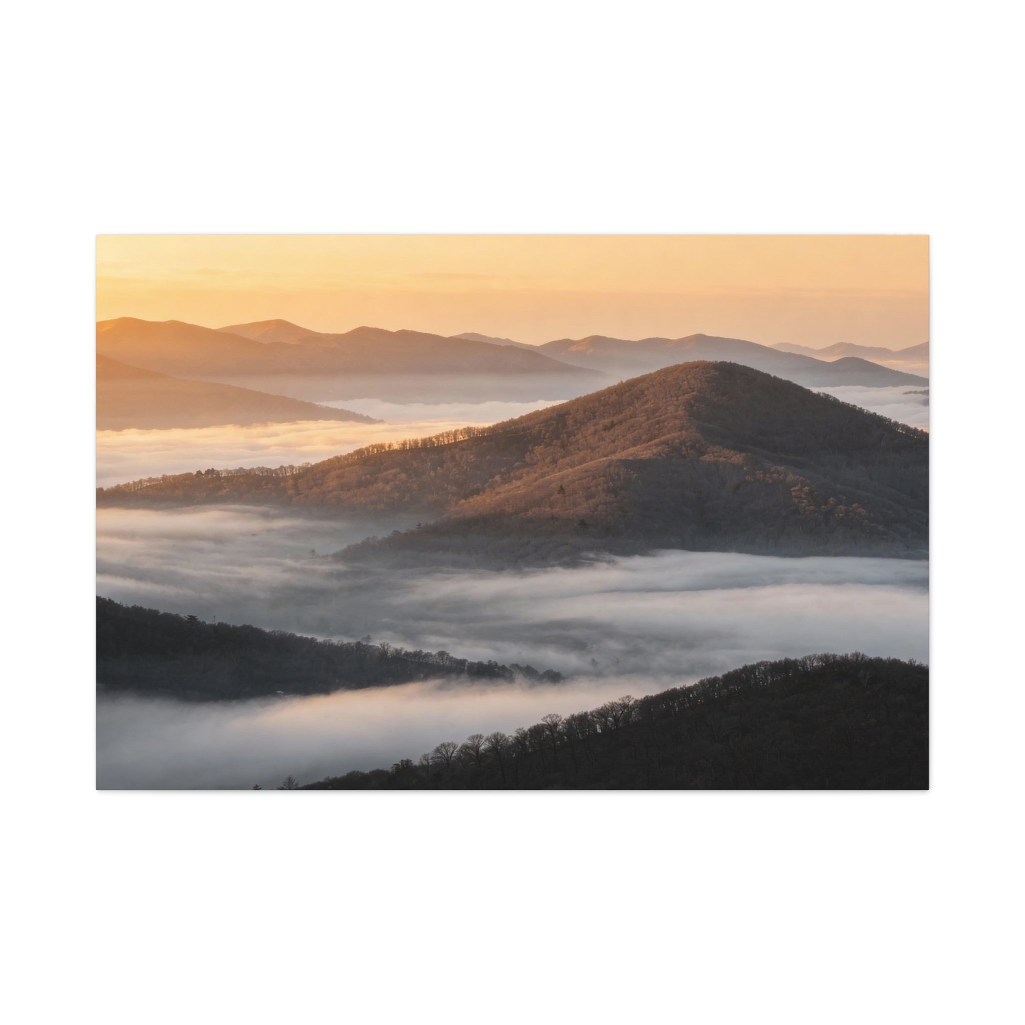 Great Smoky Mountains National Park - Fog Ridge Layers