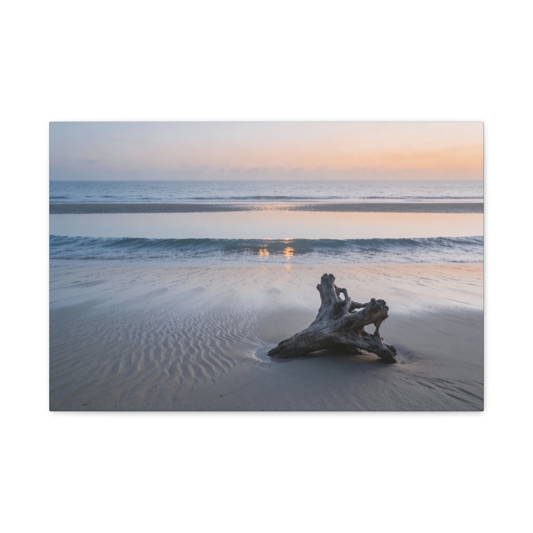 Coastal Horizons - Driftwood Shoreline - Minimal